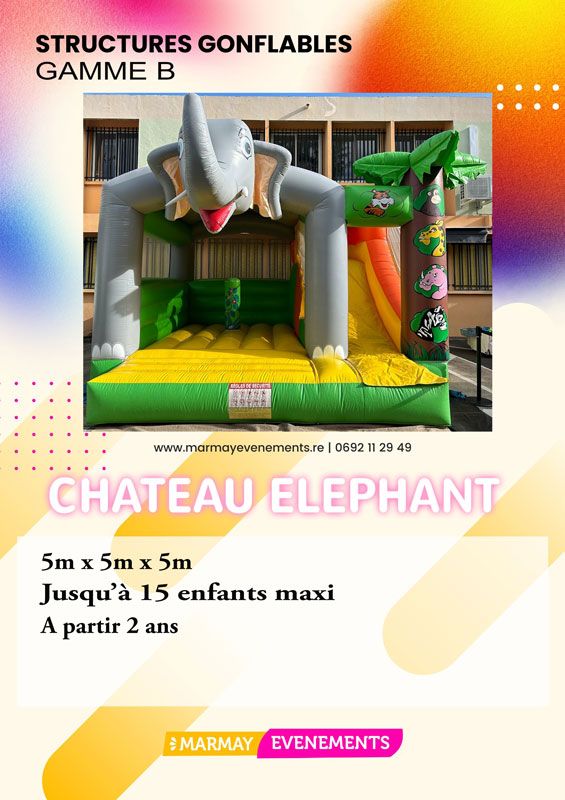 chateau-elephant.jpg